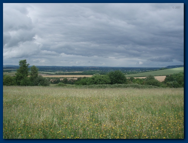 600x449 pixels (124K)